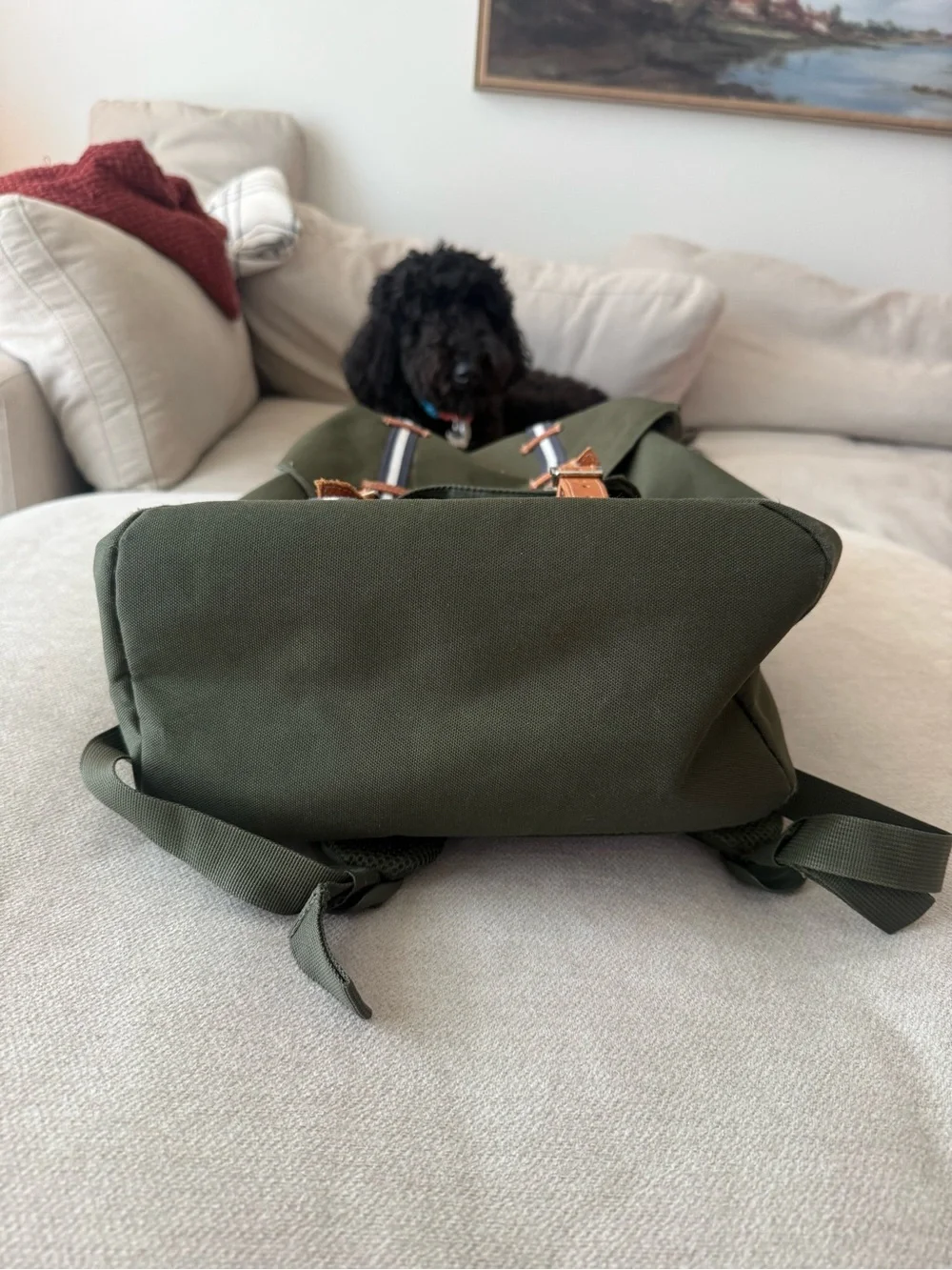 Herschel Backpack